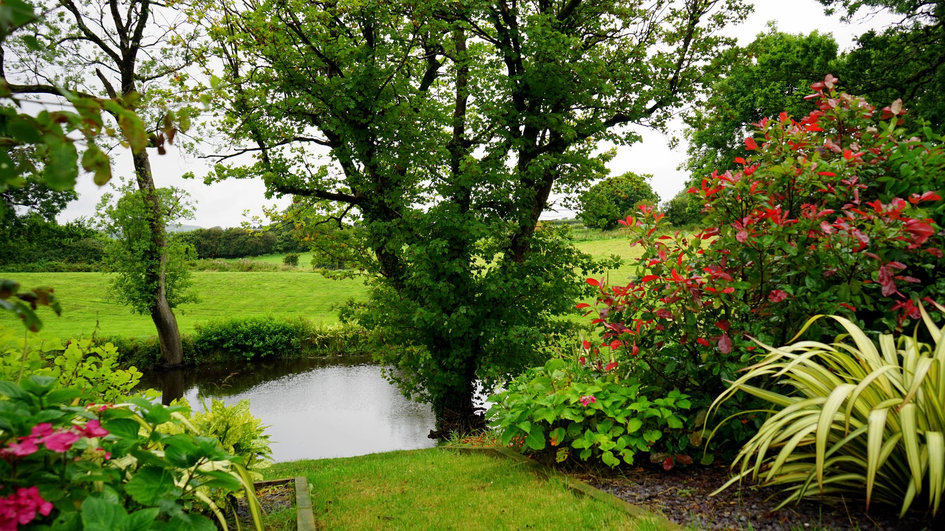 bloom blooming country countryside