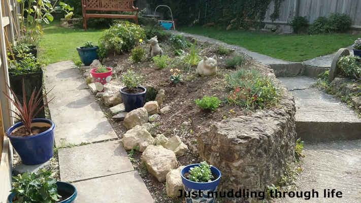 summer garden world amazing