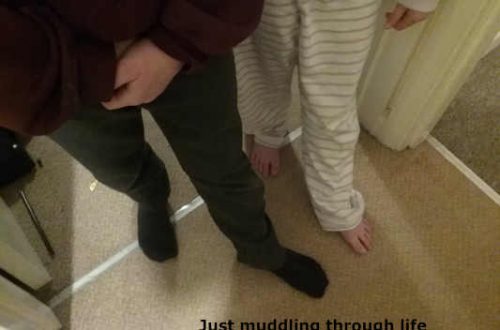 The children love to dance