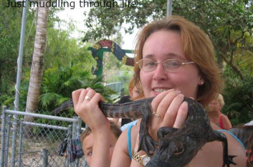 coach trip to Miami and the Everglades