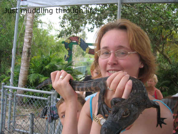 coach trip to Miami and the Everglades