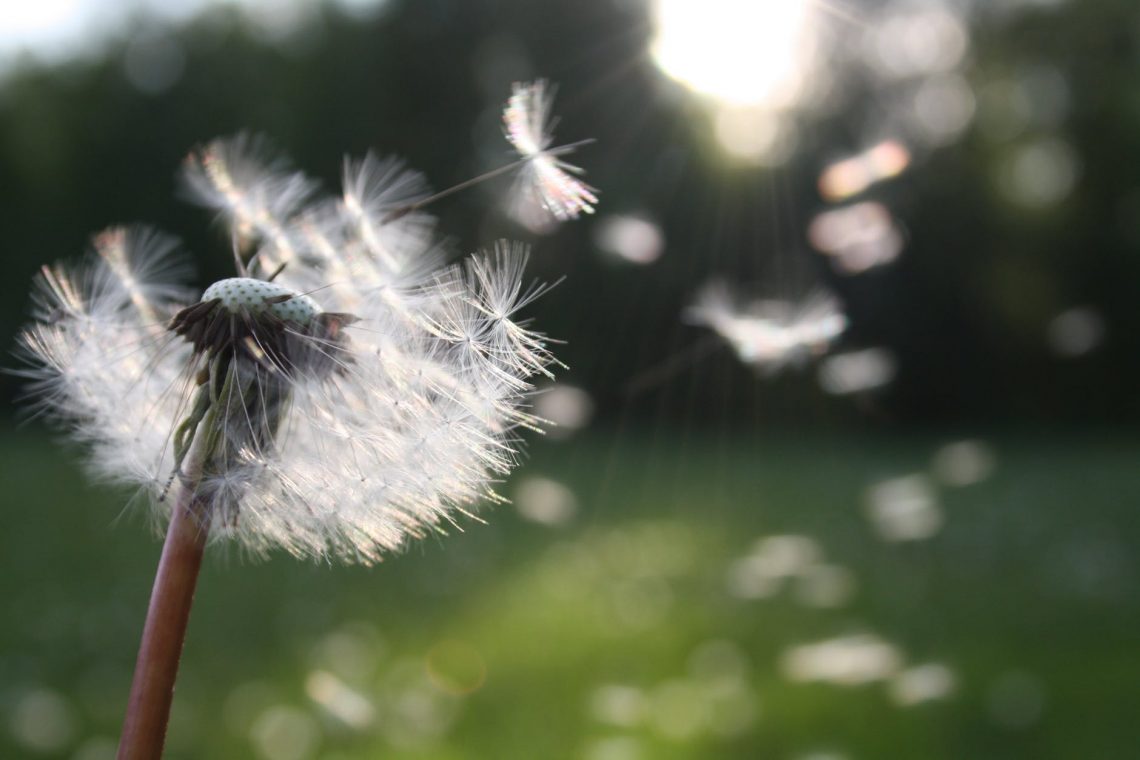 she often hopes and wishes