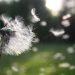 she often hopes and wishes