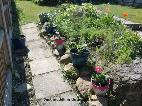 stress garden