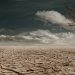 shielding climate change