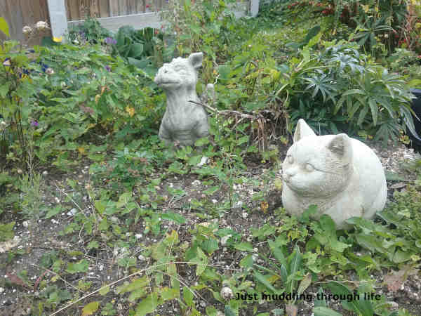 life story flower bed