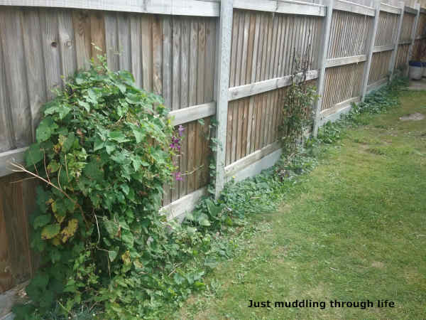 life story fence