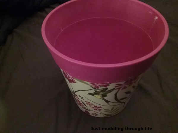 pink bucket plant pot
