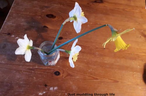life daffodils worrying