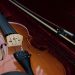 violin