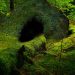 Green Wood Cave