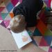 world child colouring