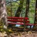 lake bench