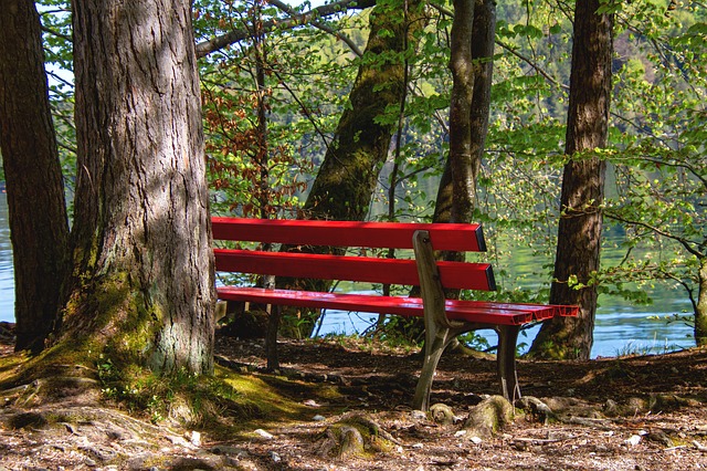 lake bench