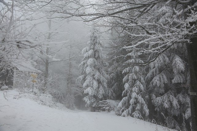 loss winter snow