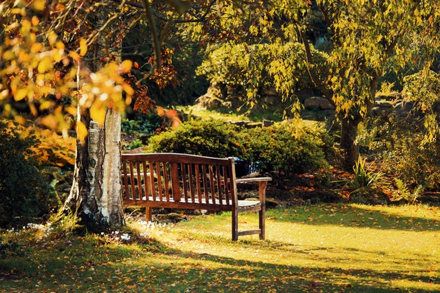 alone bench in park