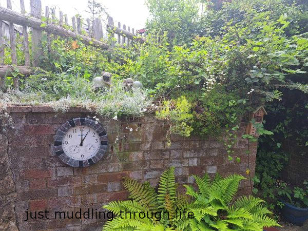 Time out - garden clock